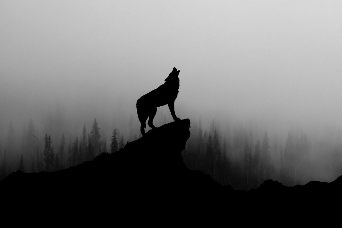 Hodina vlka